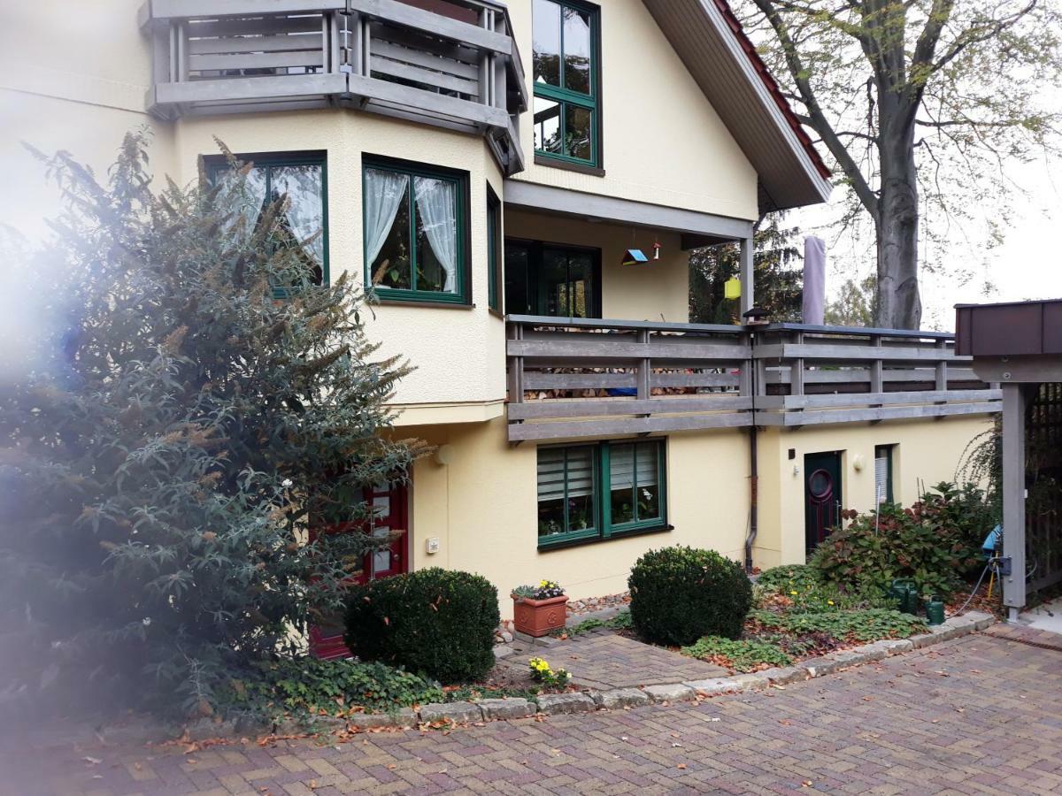 Ferienwohnung Oberloschwitz Dresden Exterior foto